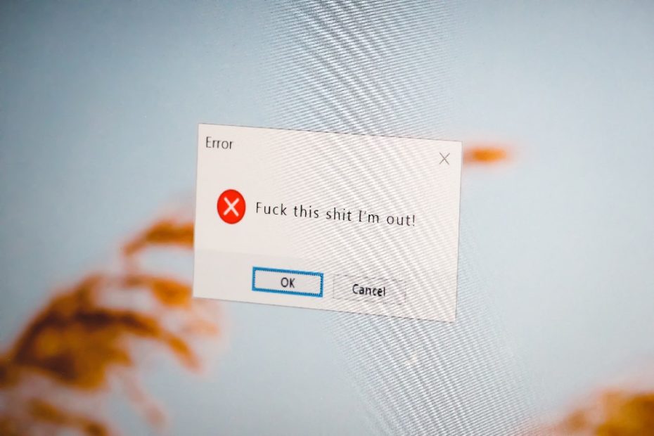 f__this_shit_window